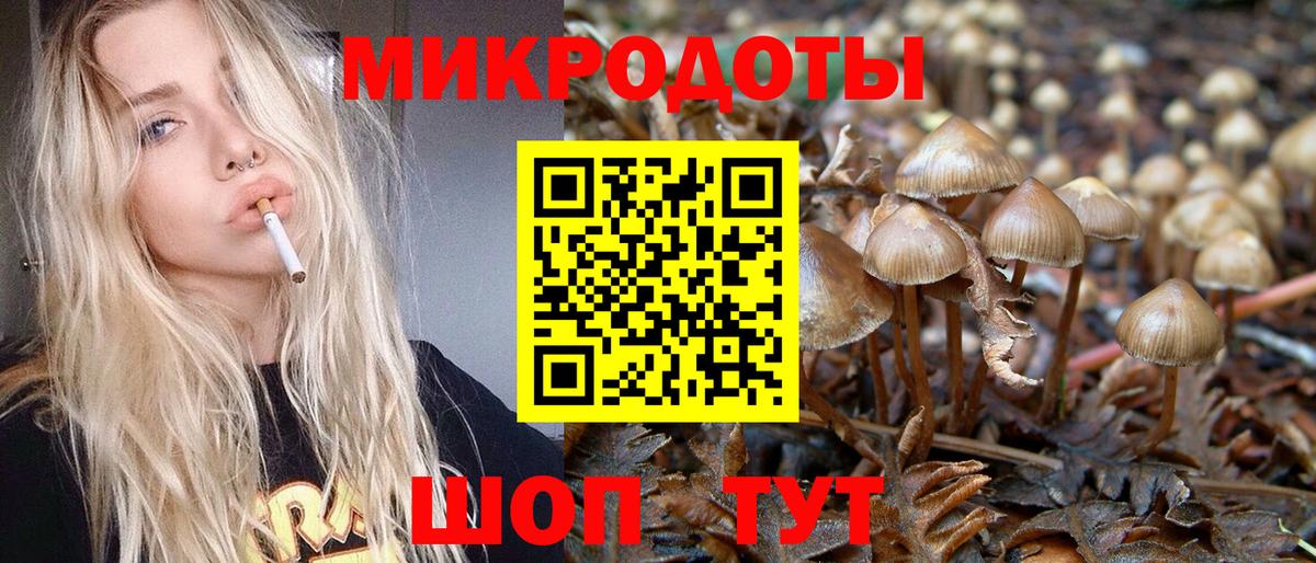 Псилоцибиновые грибы MAGIC MUSHROOMS  Галлюциногенные грибы GOLDEN TEACHER  Костомукша  Вход с VPN 