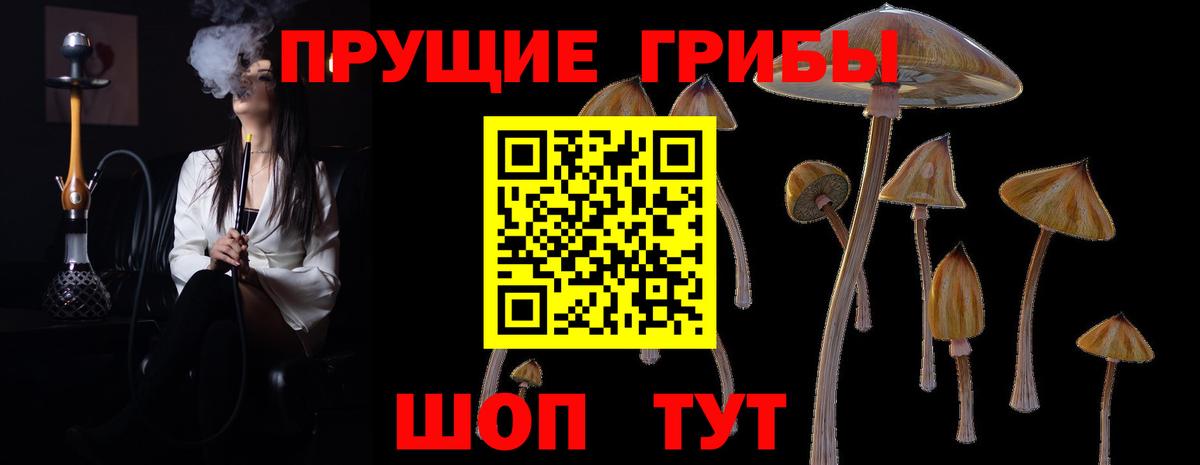 Галлюциногенные грибы мицелий Костомукша